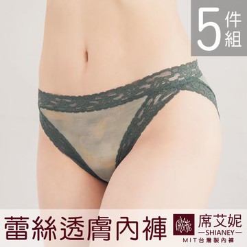 席艾妮 SHIANEY  現貨 台灣製 低腰蕾絲褲 透膚網紗 舒適透氣三角褲 女內褲 5件組