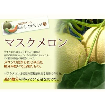 ふるさと納税 富良野市 2024年発送 富良野メロン　3Lサイズ(2kg)赤肉 2玉入り 計4kg