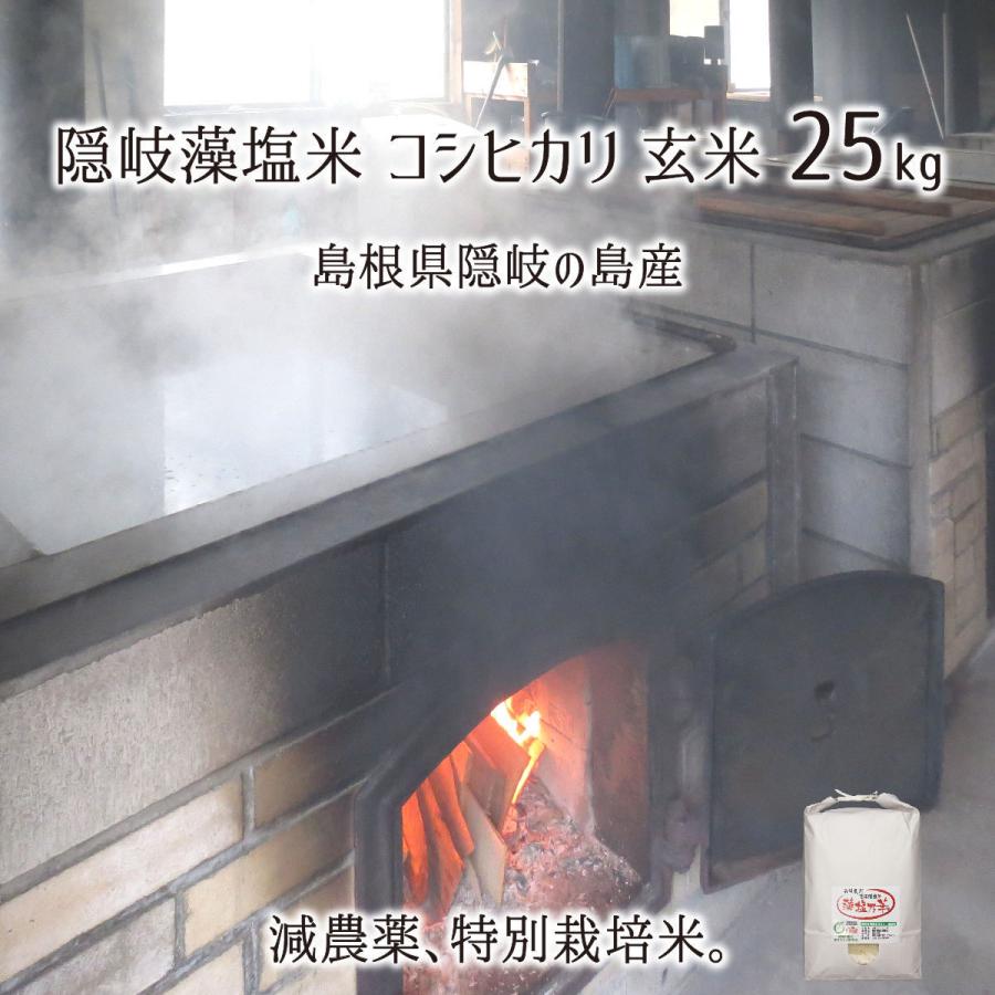 隠岐藻塩米 特別栽培 コシヒカリ 玄米 25kg 島根県隠岐の島町 2023年産 減農薬 減化学肥料 単一生産者米 エコファーマー 藻塩乃華 送料無料