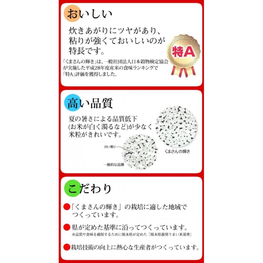 くまさんの輝き 無洗米 送料無料 計900g（300g×3袋） お試し 令和5年産 熊本県産 お米 白米 玄米 コシヒカリ ヒノヒカリ 森のくまさん