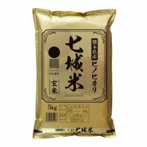 ふるさと納税 熊本県菊池産 ヒノヒカリ 玄米 計60kg（5kg×12回）米 お米 残留農薬ゼロ 低温貯蔵 熊本県菊池市