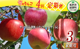 旬のりんご  家庭用 3kg × 4回 丸山りんご園 沖縄県への配送不可 2023年9月上旬頃から2024年2月上旬頃まで順次発送予定 令和5年度収穫分 信州 果物 フルーツ リンゴ 林檎 長野 44000円 予約 農家直送 長野県 飯綱町 [0709]