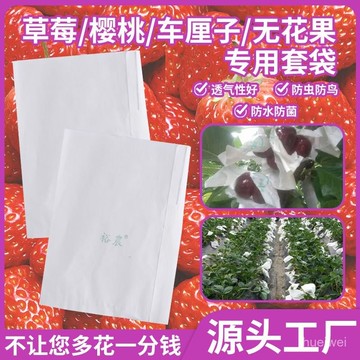 小🐑甄選🐑草莓專用套袋櫻桃套袋防蟲防鳥防水防病蠟紙袋無花果車釐子紙套袋 W0MV