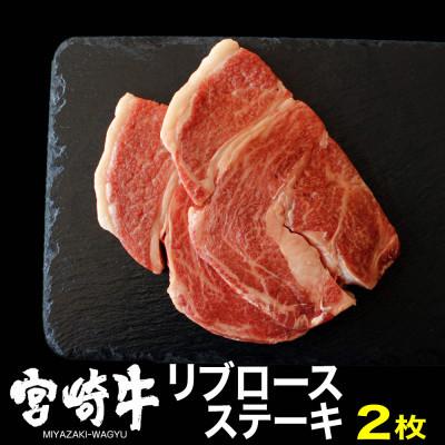 ふるさと納税 日之影町 宮崎牛リブロースステーキ400g(200g×2)(日之影町)