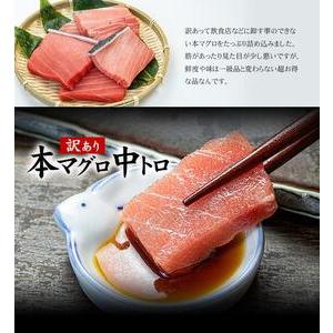 ふるさと納税 本マグロ訳あり中トロ700g！解凍レシピ付 福島県いわき市