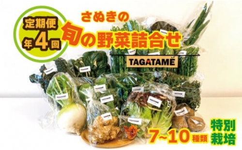 野菜 特別栽培 定期便 セット 4回 詰め合わせ 栽培期間中農薬不使用 7~10種類 TAGATAME タガタメ 旬の採れたて お野菜 詰め合わせ セット