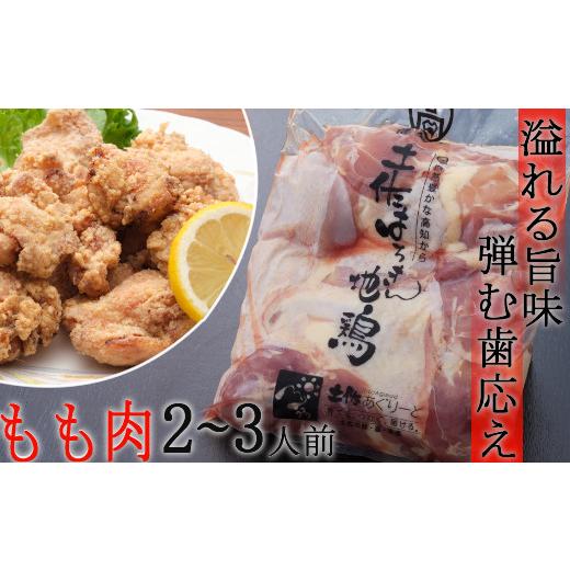 ふるさと納税 高知県 室戸市 はちきん地鶏のもも肉・むね肉 １ｋｇセット　室戸海洋深層水塩付