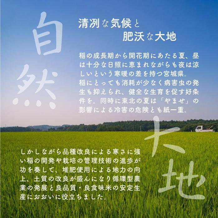 令和5年宮城県産 ひとめぼれ 白米10kg（5kg×2）