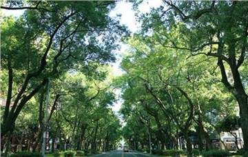 住商-TOP內湖店敦南國際名店｜台北市大安區敦化南路二段