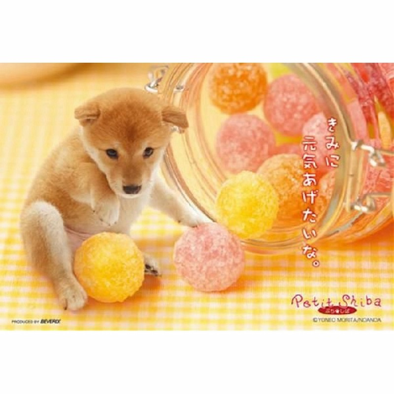 ジグソーパズル 108ピースマイクロ ぷちねこ ぷちしば 元気あげたい M108 034 通販 Lineポイント最大0 5 Get Lineショッピング