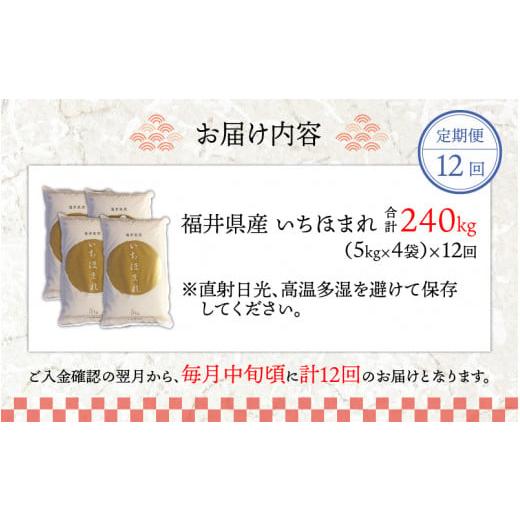 ふるさと納税 福井県 永平寺町 令和5年度産 福井県産新ブランド米 いちほまれ 20kg（5kg×4袋）×12ヶ月（計240kg） [N-002024]