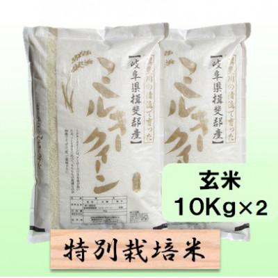 ふるさと納税 池田町 特別栽培米 20kg(ミルキークイーン)