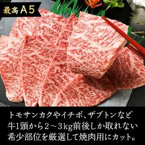 希少部位厳選！特選カルビ 博多和牛 A5 700g