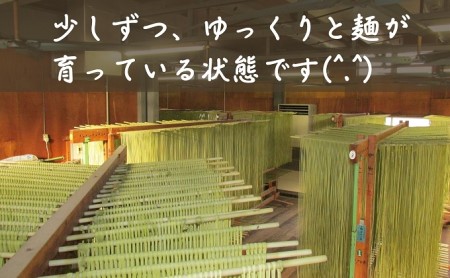 小豆島手延オリーブ麺 4袋セット