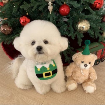 ins寵物可愛圣誕老人圍兜貓咪狗狗寵物口水巾兜比熊泰迪道具圍脖