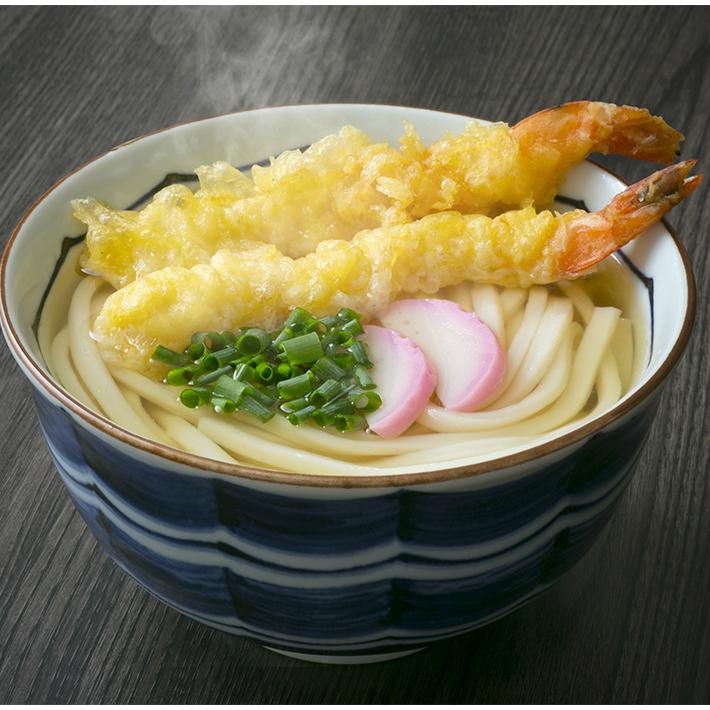 香川県 半生 讃岐 うどん セット 1.5kg 徳用箱（うどん300g×5、つゆ無し）