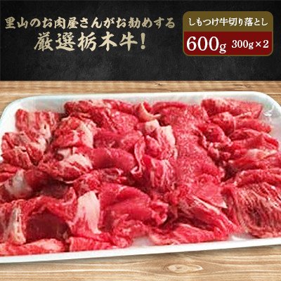 ふるさと納税 茂木町 里山のお肉屋さんがお勧めする厳選栃木牛! しもつけ牛切り落とし 300g×2ケ