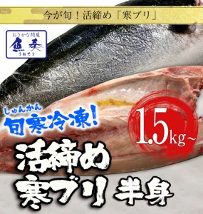 寒ブリ 半身 おろし済み 約1.5kg～ 九州産 お刺身用 冷凍配送 ぶり 鰤 ぶりしゃぶ 照焼き 送料無料 お歳暮 業務用 食品 おかず お弁当