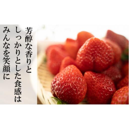 ふるさと納税 熊本県 錦町 いちご 先行予約 錦町産 イチゴ 恋みのり 約250g×4P 3L サイズ 2023年12月上旬より順次発送 配送不可 離島