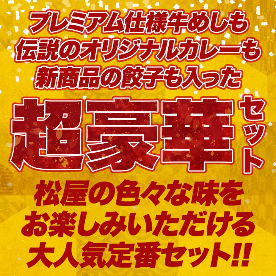 2023年 松屋のてんこもり福袋！9種30食入り 冷凍食品 保存食 一人暮らし 牛丼 まつや