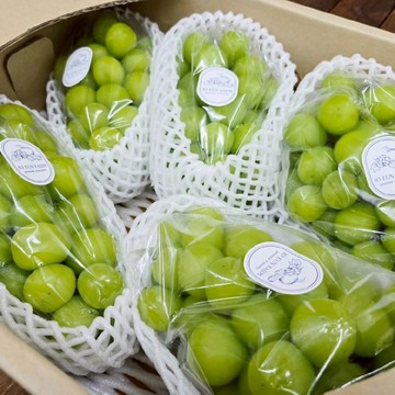 WANG蔬果 韓國空運麝香葡萄(原裝箱5-6串/約4kg)