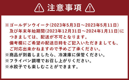 にんにくたっぷり伝説の塩ぎょうざ 200個(50個×4セット) 餃子 約2.8kg