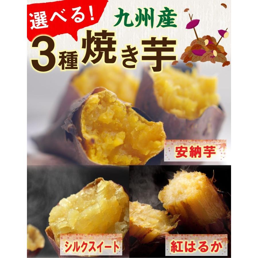 選べる焼き芋 500g×1袋 冷やし焼き芋 安納芋 シルクスイート 紅はるか 鹿児島県産 送料無料 クール