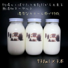 よーぐると工房Bawのヨーグルト　730ml×3本セット(加糖)