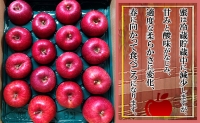北海道壮瞥町　りんご　サンふじ（宮美ふじ）14～18玉 約5kg 果物 フルーツ くだもの