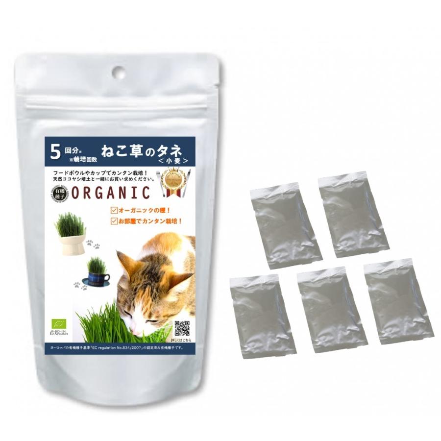 ねこ草のタネ 5回分 小麦 オーガニック 有機種子 通販 Lineポイント最大0 5 Get Lineショッピング