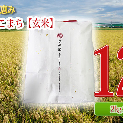 秋田県産 あきたこまち 玄米 12kg（2kg×6袋）神宿る里の米「ひの米」（お米 小分け）