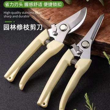 🚀臺灣出貨💨剪枝果樹修枝剪刀園藝園林修花枝剪家用強力剪子神器花剪剪枝剪刀