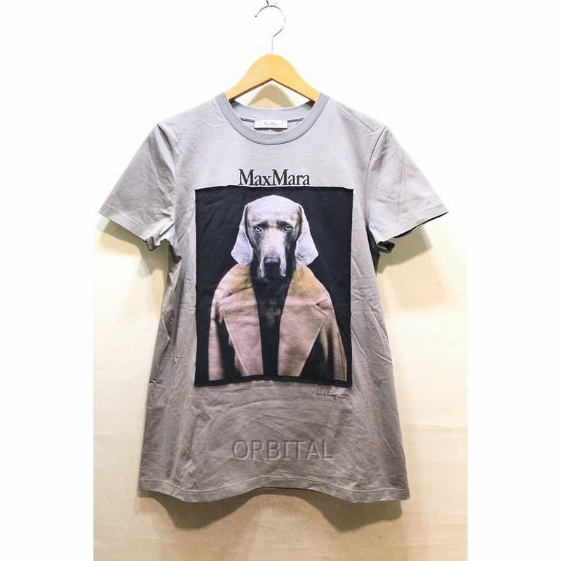 経堂) マックスマーラ Max Mara ドッグ Tee Tシャツ ウィリアム ...