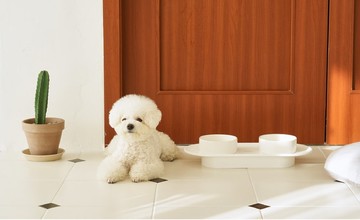 一體成形保護頸椎　糖果色小飛碟雙碗組