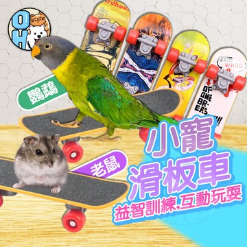 【歐豆K】小寵滑板車 手指滑板 鸚鵡滑板 互動玩耍 小寵益智玩具 寵物玩具 倉鼠滑板鸚鵡玩具 烏龜滑板 滑板