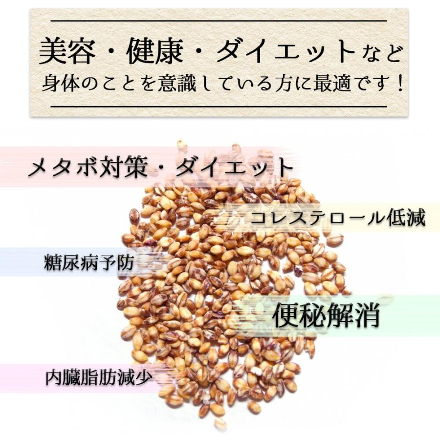 令和5年産 新麦 もち麦 ダイシモチ 950g チャック付 岡山県産 送料無料