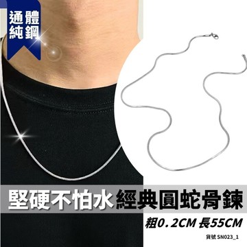 銀色 經典圓蛇骨鍊 圓蛇骨 硬蛇骨 現貨 實拍 鈦鋼 項鍊 蛇鍊 圓蛇鏈 簡約 細鍊 蛇骨鍊 歐美 SN023_1