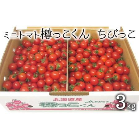 ふるさと納税 先行受付 2024年8月出荷 北海道 仁木町産 樽っこくん ちびっこ 3kg ミニトマト 北海道仁木町