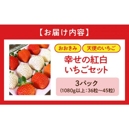 ふるさと納税 宮崎県 宮崎市 宮崎県産イチゴ「幸せの紅白いちごセット」3パック（1080g以上：36…