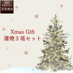 うなぎ 国産 2023年 クリスマスセット ギフト 蒲焼き 155-167g×3尾 大盛3人前 送料無料 豊橋うなぎ プレゼント 贈り物 真空パック 誕生