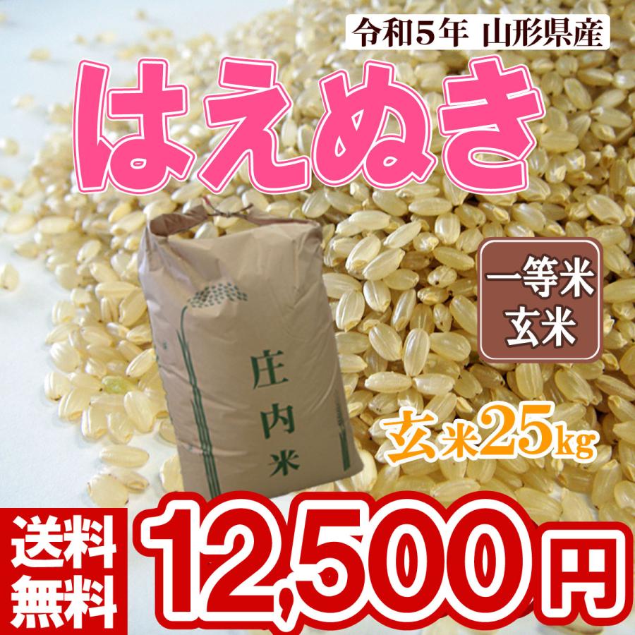 令和5年 山形県産 はえぬき 玄米 25kg(5kg×5)（送料無料）