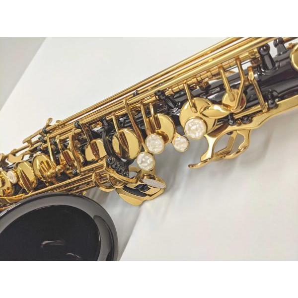 J Michael(Jマイケル) AL-900B アルトサックス ブラック 管楽器 black alto saxophones ヤマハマウスピース セット C　北海道 沖縄 離島不可