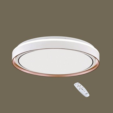 50-74W 遙控吸頂燈 B102-13-64291 64292