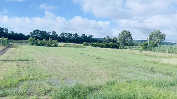 台慶阿湯-竹北白地紅樹林方正臨路美農地｜新竹縣竹北市新港三街二段