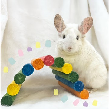 KAYTEE 寵物遊戲棒棒屋 Medium 熱帶風情 可彎曲  1個