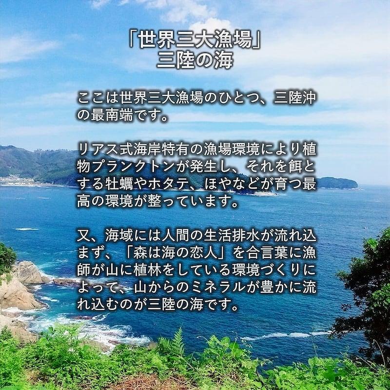 活アワビ 三陸産 天然蝦夷アワビ ５Kg 箱 無選別 産地直送 送料無料