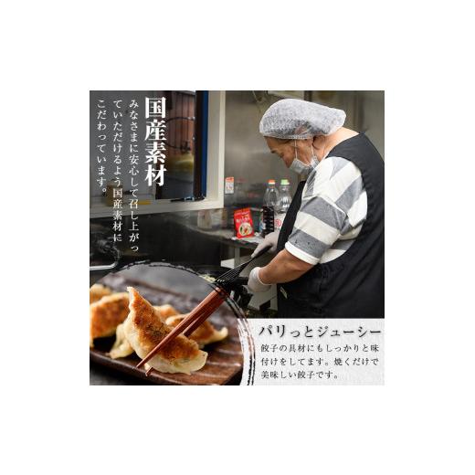 ふるさと納税 宮崎県 門川町 味の大作の餃子3種セット(合計40個・3種全5パック)