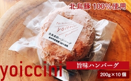 北島豚100％使用！ヨイッチーニ旨味ハンバーグ200g×10個〈ヨイッチーニ〉