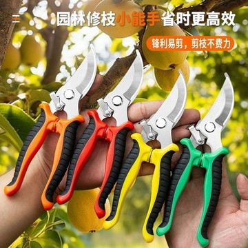 臺灣低購🛒強勁園藝剪刀修枝剪省力修剪樹枝果樹竹籤園林花卉專用花藝剪子RZ