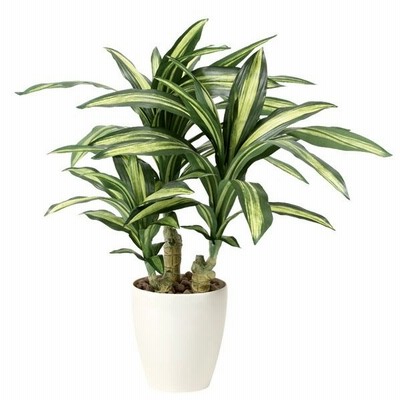 光触媒人工観葉植物　光の楽園 幸福の木Ｓ、60cm
